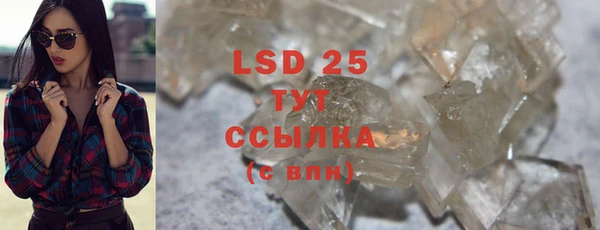 PSILOCYBIN Лагань