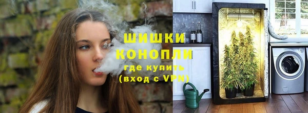 PSILOCYBIN Лагань
